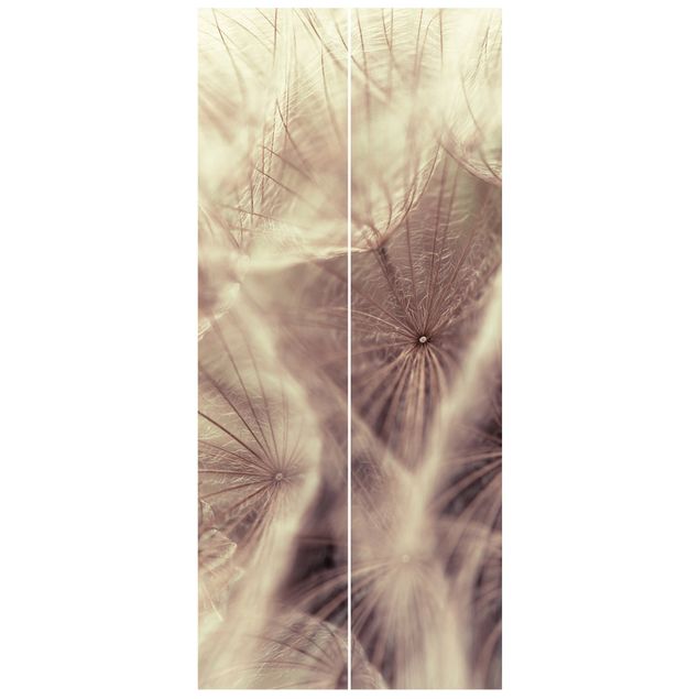 Fototapet blomster Detailed Dandelion Macro Shot With Vintage Blur Effect