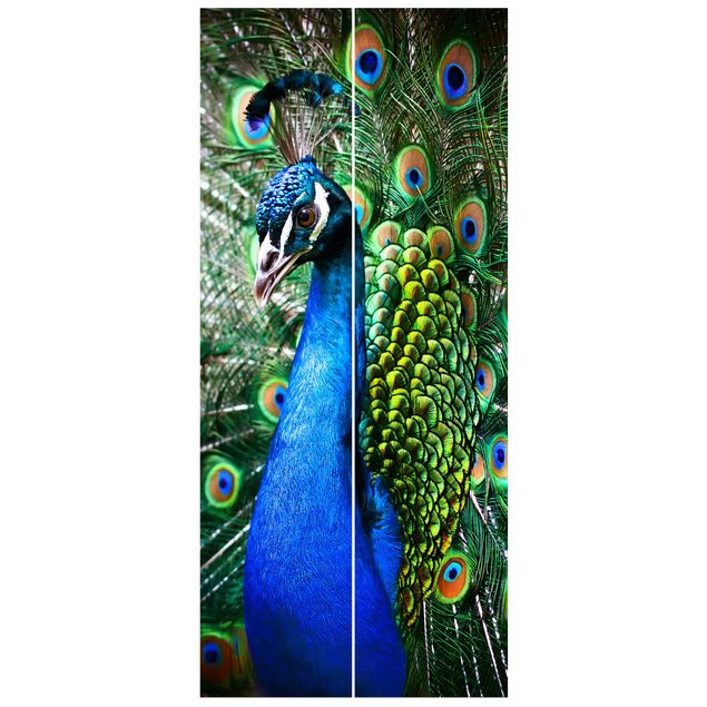 Tapet moderne Noble Peacock