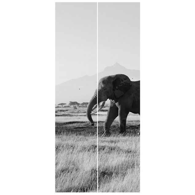 Fototapet bjerge Elephants In Front Of The Kilimanjaro In Kenya II