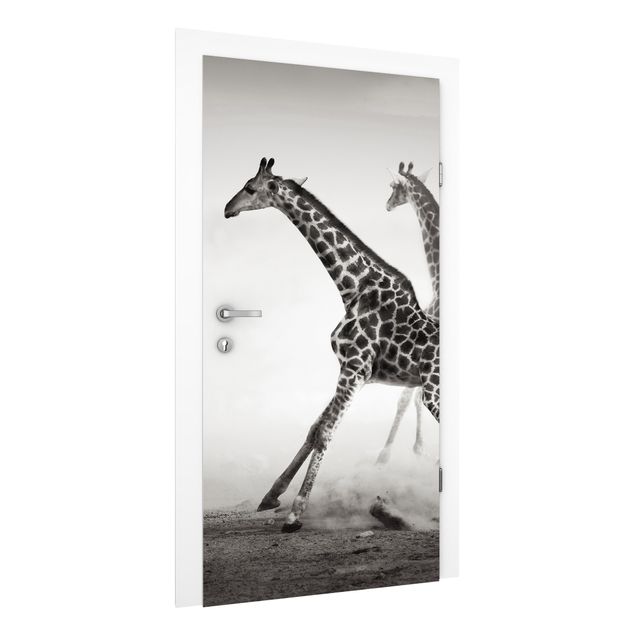 Fototapet giraffer Giraffe Hunt