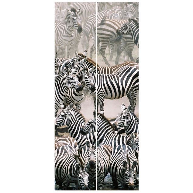 Tapet moderne Zebra Herd