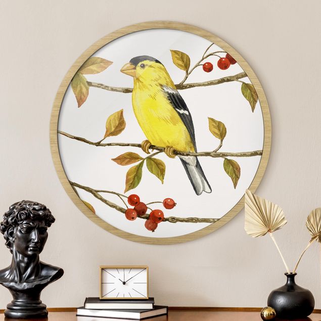 Indrammede plakater vintage Birds And Berries - American Goldfinch