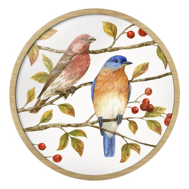 Billeder orange Birds And Berries - Bluebird