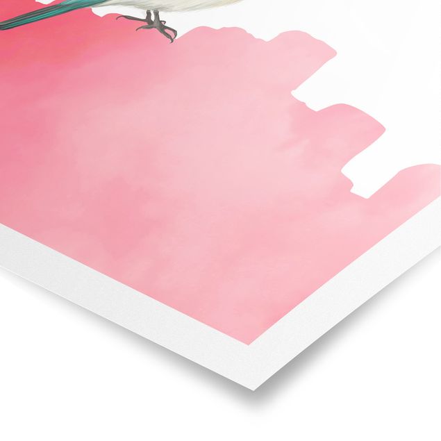 Billeder Bird On Pink Backdrop