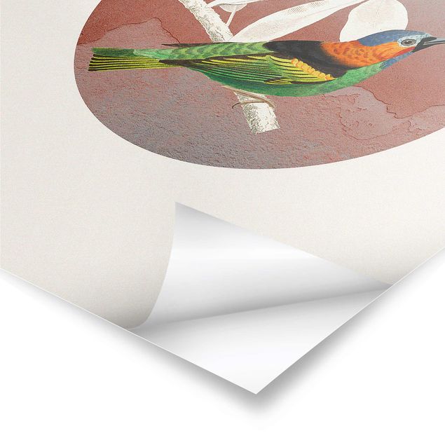 Plakater Bird Collage In A Circle ll
