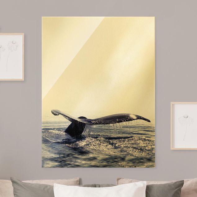 Glasbilleder dyr Whale Song On Iceland