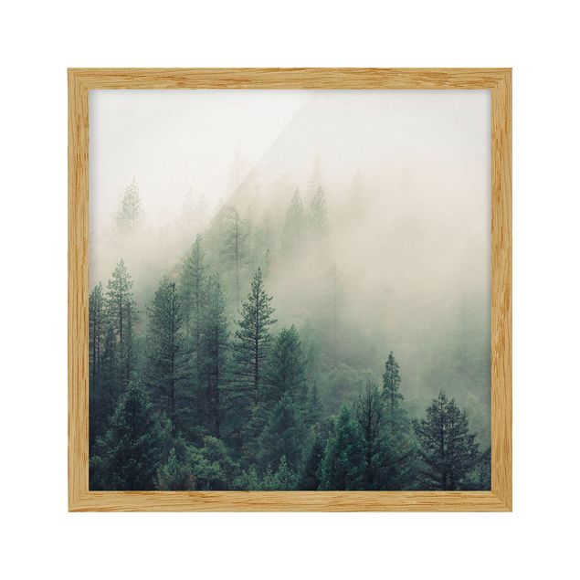 Indrammede plakater landskaber Foggy Forest Awakening