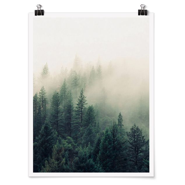 Plakater landskaber Foggy Forest Awakening