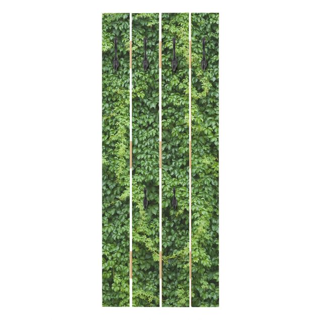 Knagerækker grøn Ivy