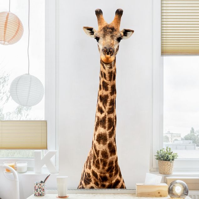 Wallstickers Afrika Giraffe head