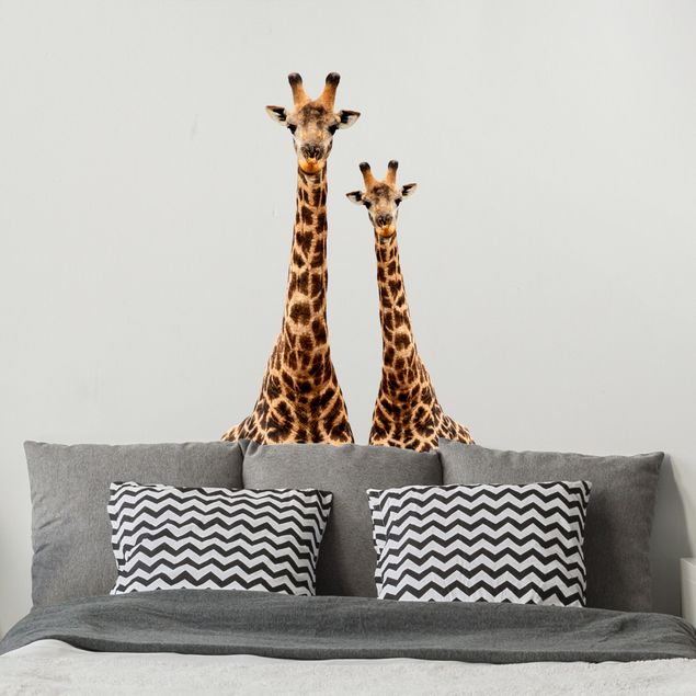 Wallstickers Portrait of two giraffes