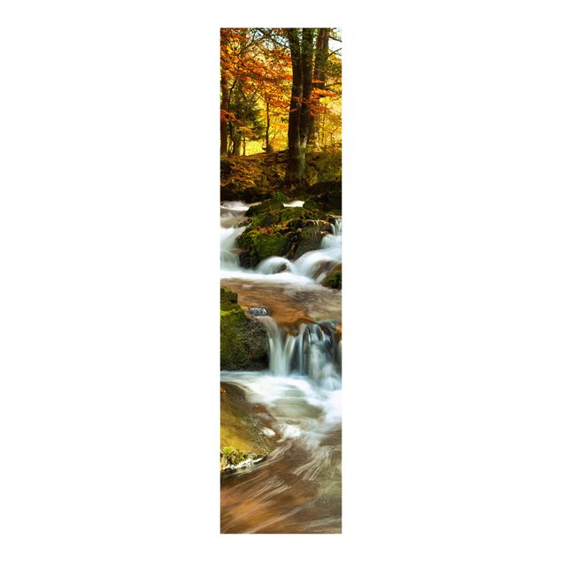 Panelgardiner landskaber Waterfall Autumnal Forest