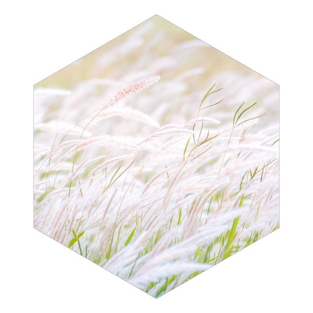 Tapet Soft Grasses