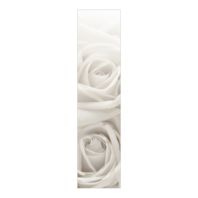 Panelgardiner blomster White Roses