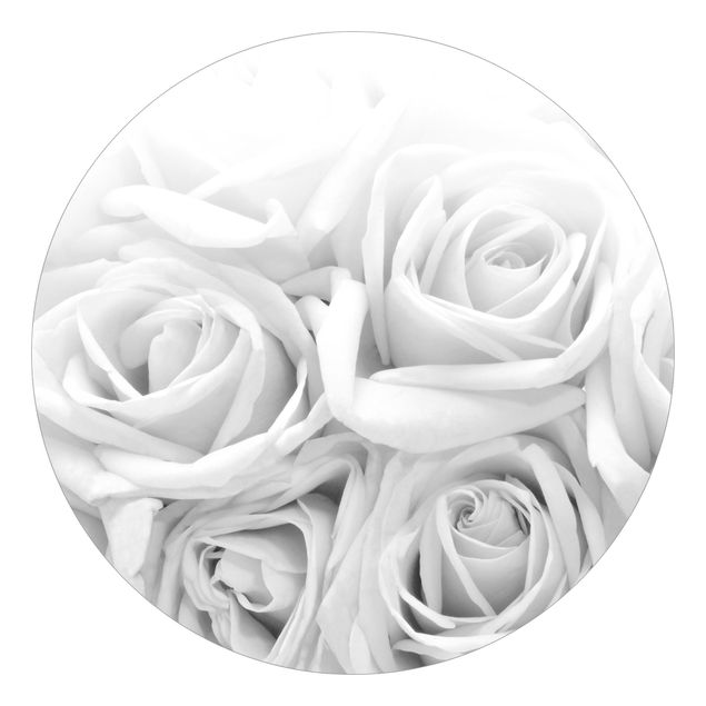 Moderne tapet White Roses Black And White