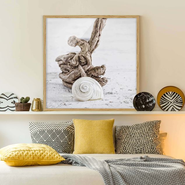 Billeder landskaber White Snail Shell And Root Wood