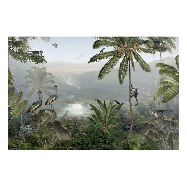 Billeder landskaber Vast view into the depths of the jungle