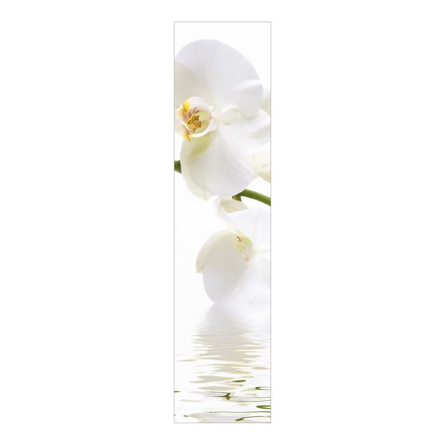 Panelgardiner blomster White Orchid Waters
