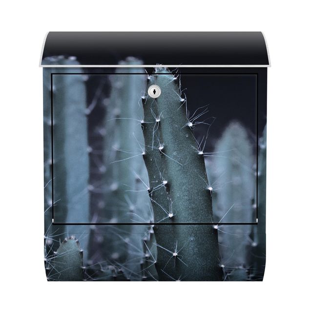 Postkasser sort Desert Cactus At Night