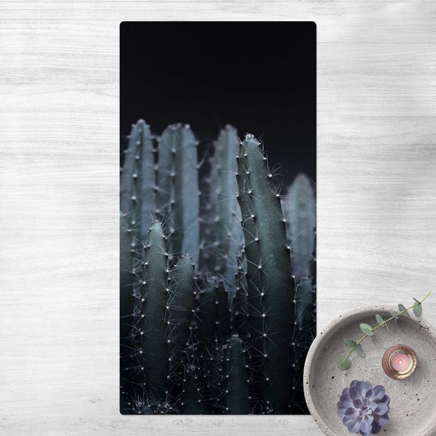 Tæppeløber Desert Cactus At Night