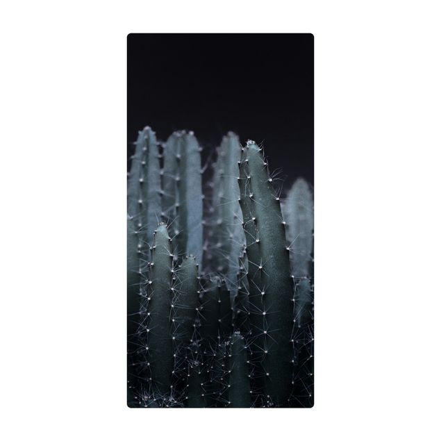 Store tæpper Desert Cactus At Night