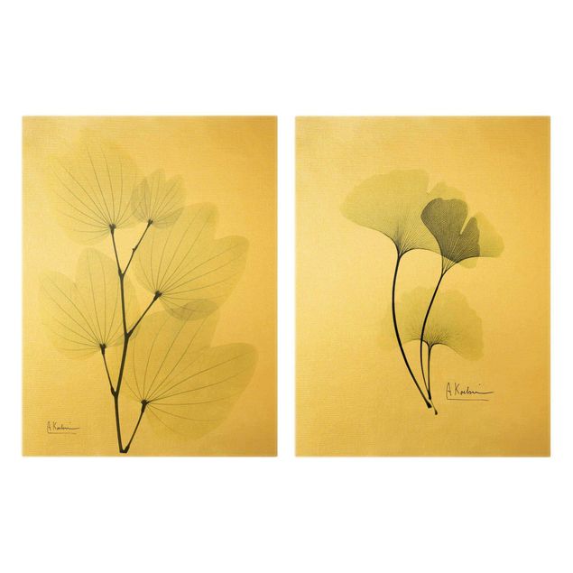 Billeder blomster X-Ray - Orchid Tree Leaves & Ginkgo