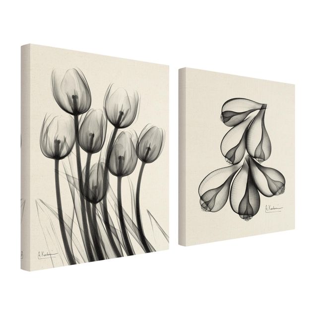 Billeder på lærred X-Ray - Tulips & Fig Shells