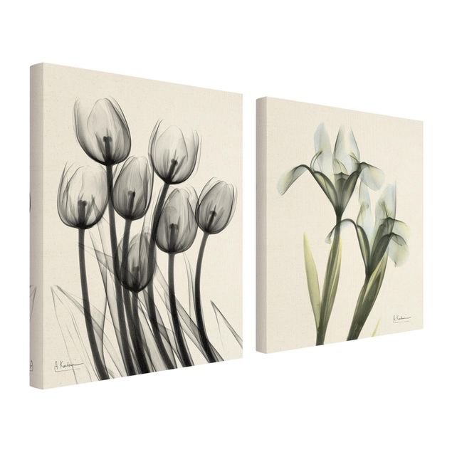 Billeder på lærred X-Ray - Tulips & Iris