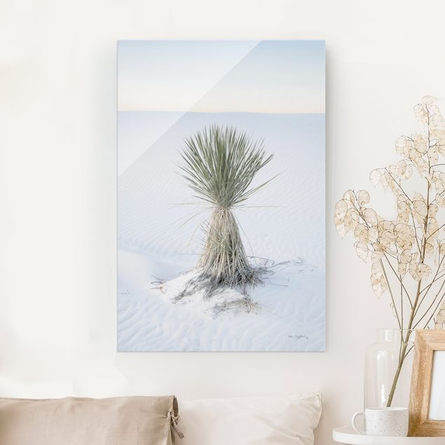 Glasbilleder klitter Yucca palm in white sand