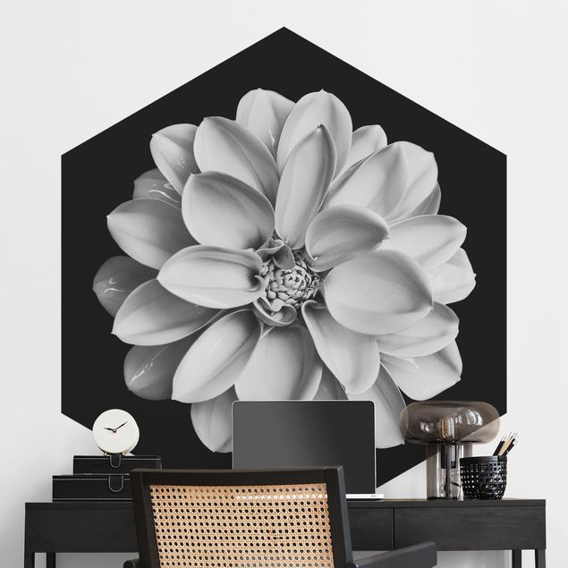 Fototapet blomster Delicate Dahlia In Black And White