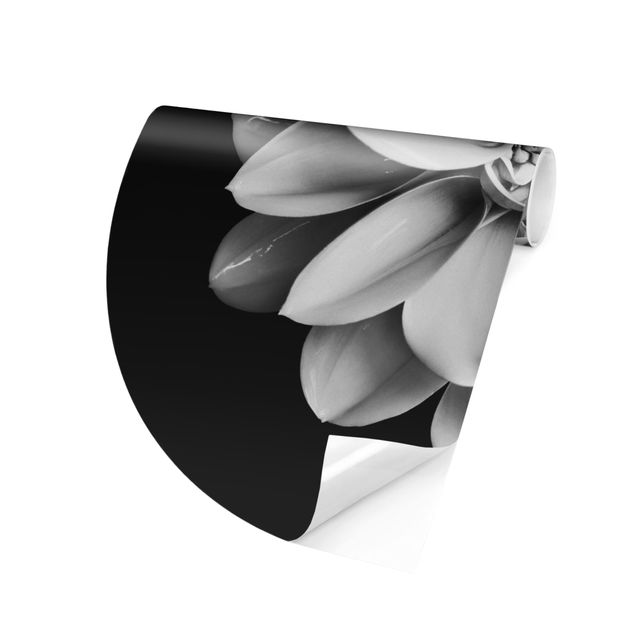 Moderne tapet Delicate Dahlia In Black And White