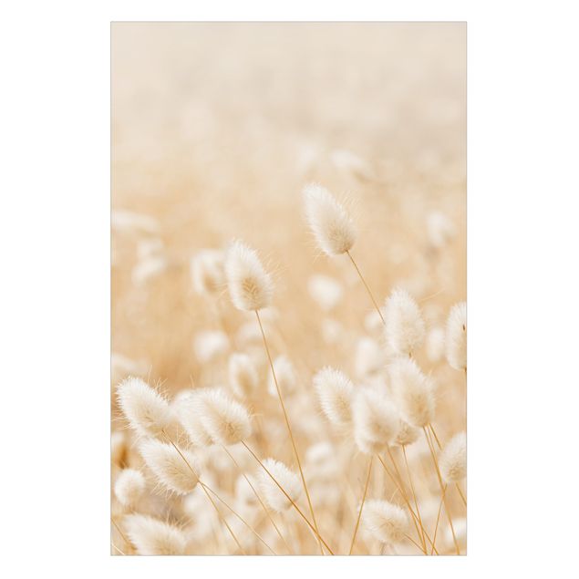 Vinduesklistermærke - Delicate Grasses