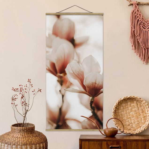 køkken dekorationer Delicate Magnolia Flowers In An Interplay Of Light And Shadows