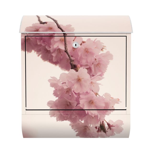 Postkasser lyserød Pale Pink Spring Flower With Bokeh