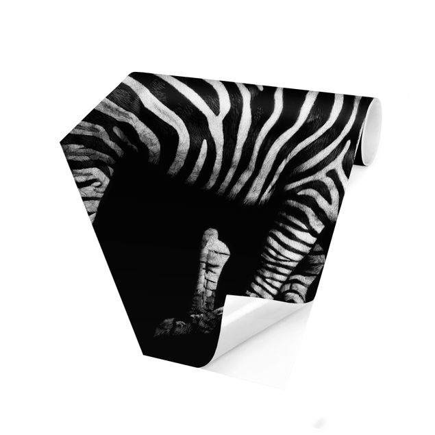 Sekskantede Tapeter Zebra In The Dark