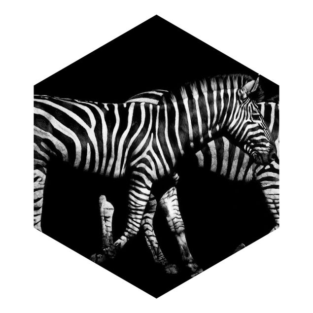 Tapet Zebra In The Dark