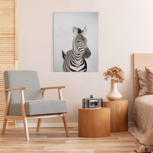 Billeder zebraer Zebra Zilla