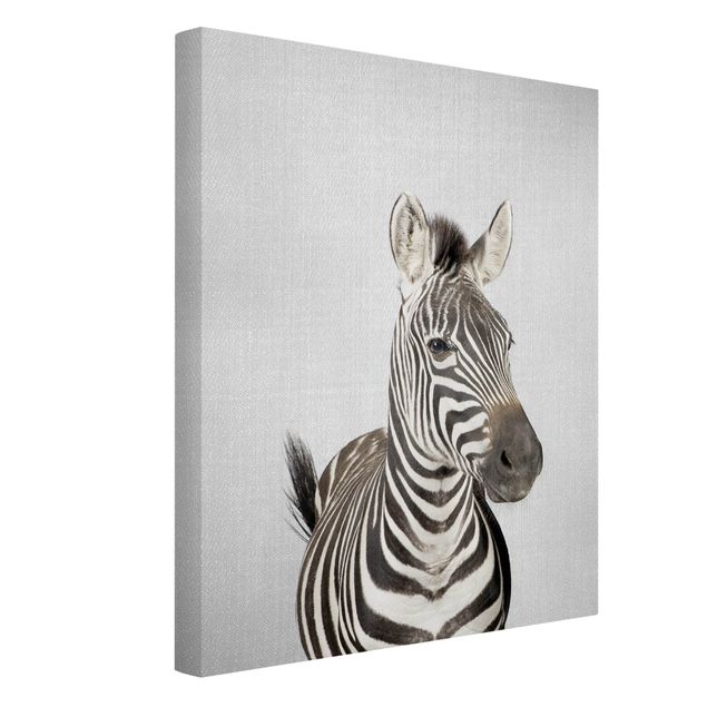 Billeder på lærred sort og hvid Zebra Zilla