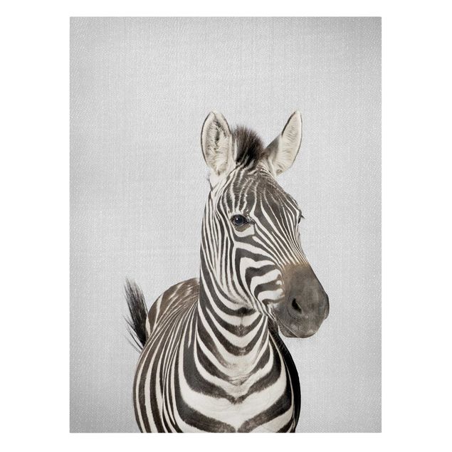 Billeder på lærred dyr Zebra Zilla