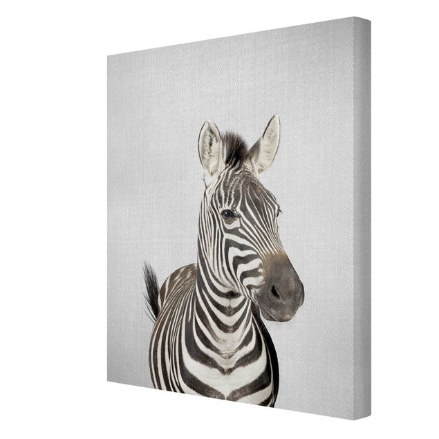 Billeder moderne Zebra Zilla