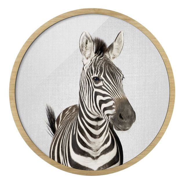 Indrammede plakater dyr Zebra Zilla