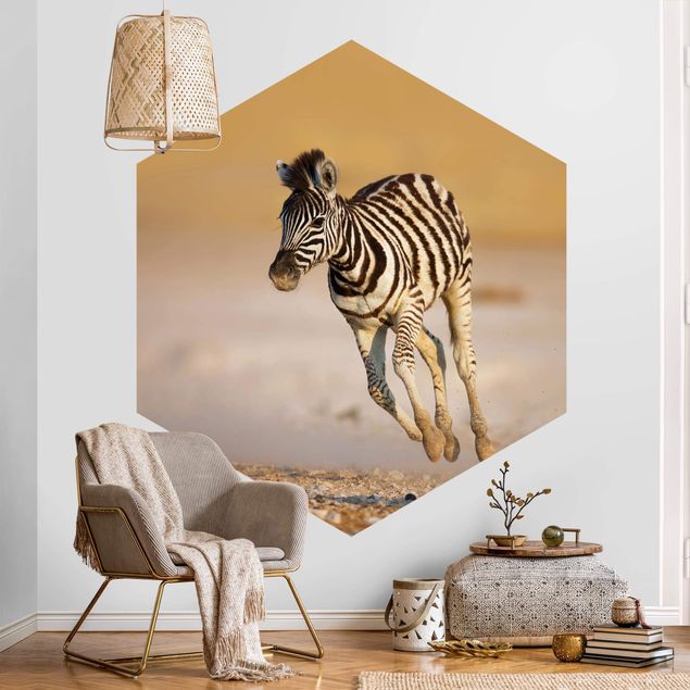 Fototapet ørkener Zebra Foal