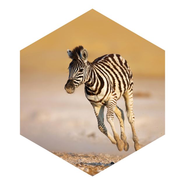 Fototapet landskaber Zebra Foal