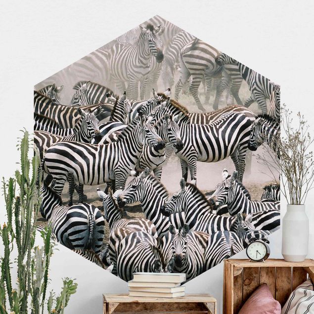køkken dekorationer Zebra Herd