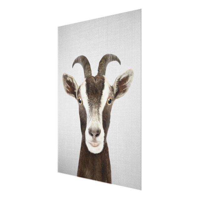 Billeder Gal Design Goat Zora