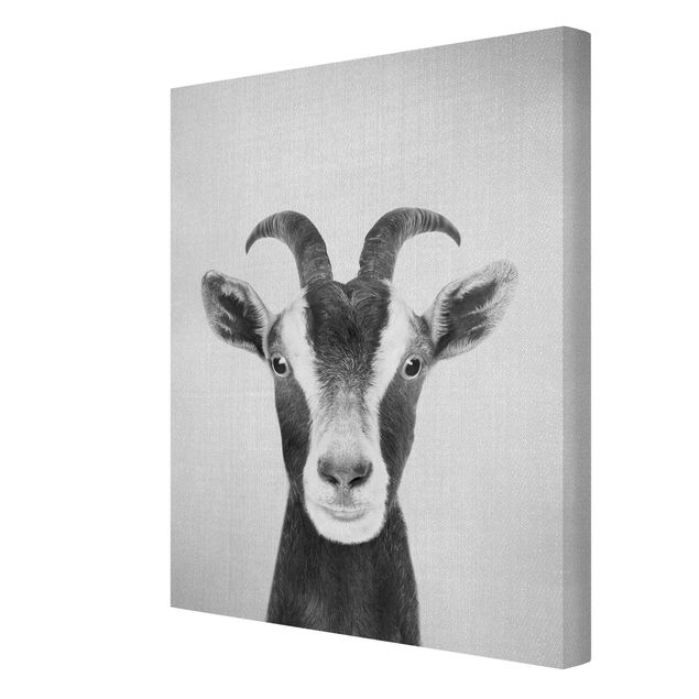 Billeder Gal Design Goat Zora Black And White