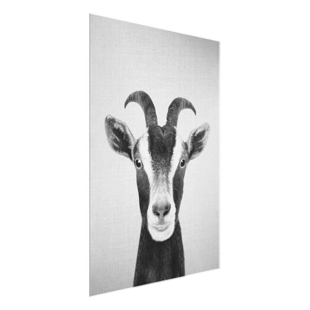 Billeder moderne Goat Zora Black And White