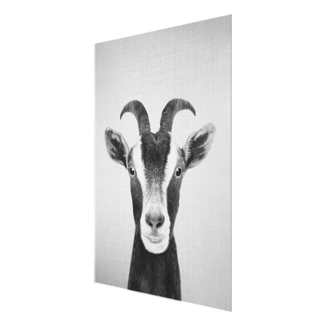 Billeder Gal Design Goat Zora Black And White