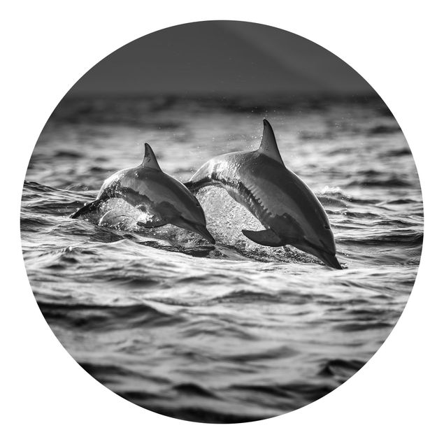 Fototapet sort og hvid Two Jumping Dolphins